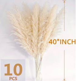 New - 40” Natural Pampas Grass