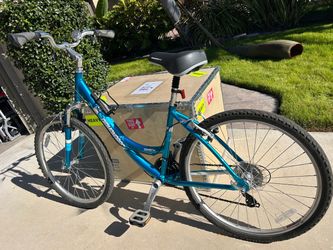 Diamondback Serene Classic Bicycle