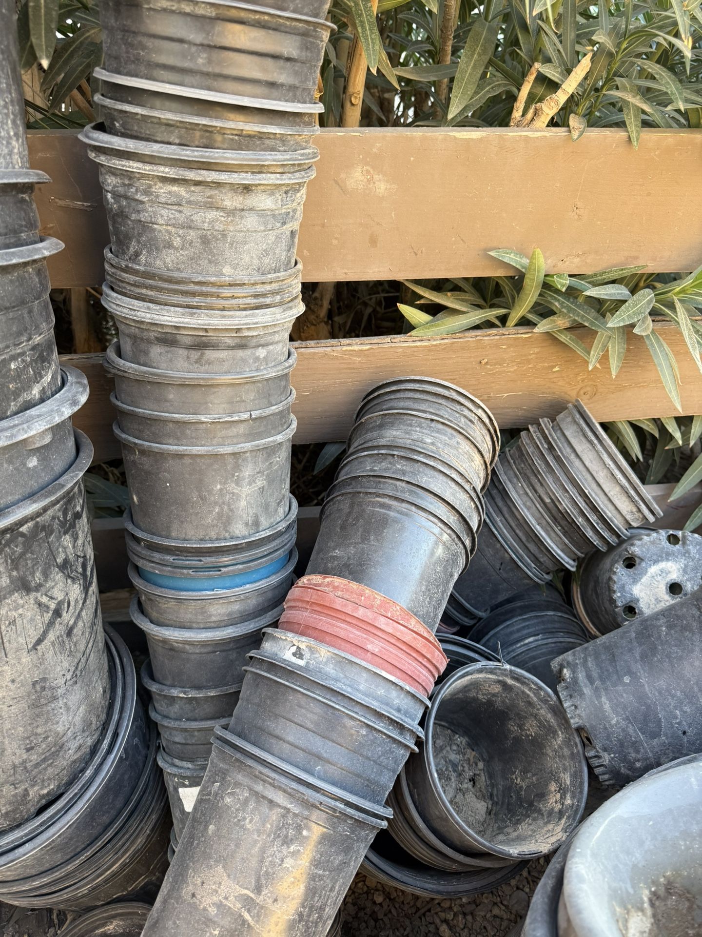 1 Gallon Nursery Plant Pots - $2 each