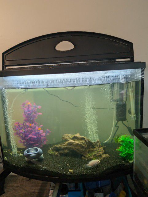 39 Gallon Fish Tank With Premium Accessories