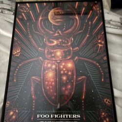 Foo Fighter's Collectable Poster