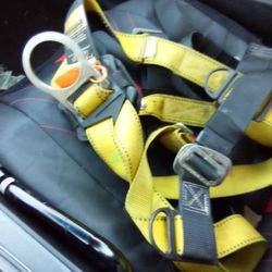 Harness In Great Condition 