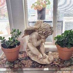 Quiet Angel Frog