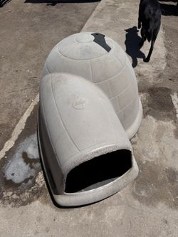 Dog House