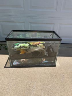 20 gallon fish tank