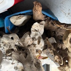 Driftwood  and rocks for aquariums