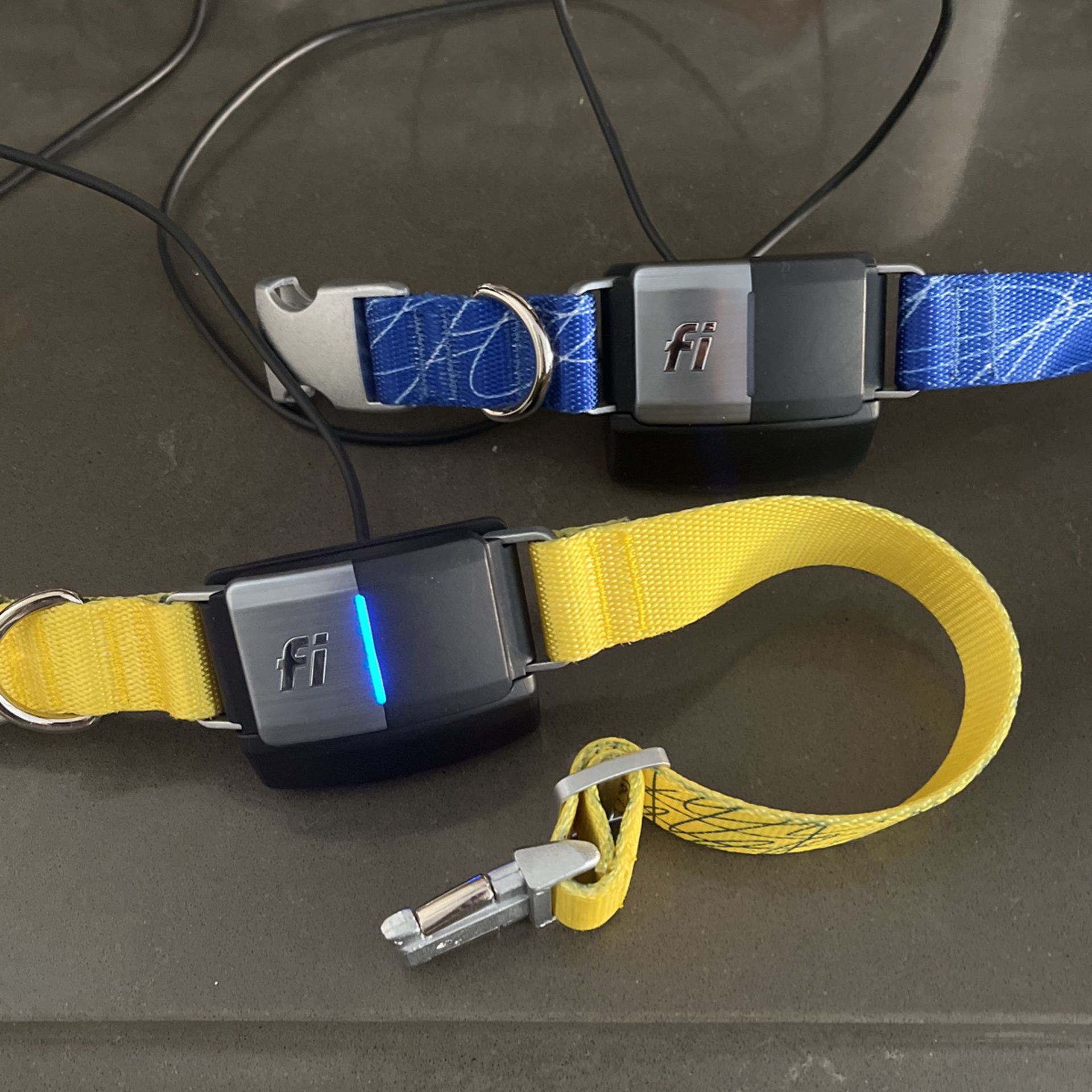 Two FI GPS Tracking Dog Collars 