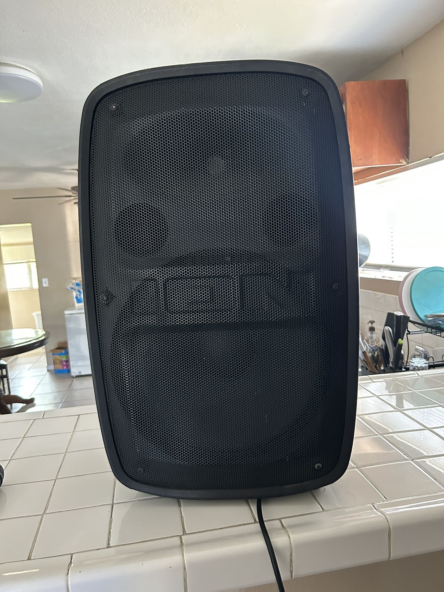 Pa System Speaker