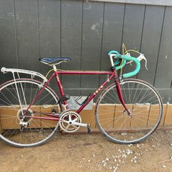 Vintage Trek Road Bike