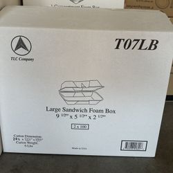 Sandwich Containers 9x5x2