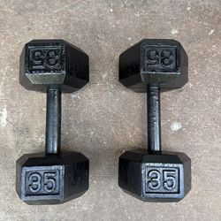 35lbs dumbbells 💪