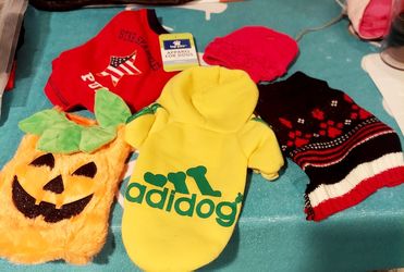 5 Small Dogs Clothes