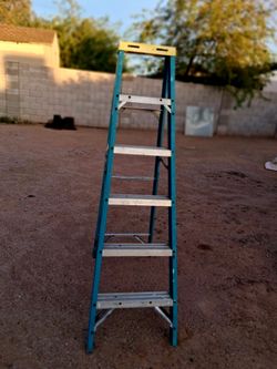 6 foot step ladder  (werner)