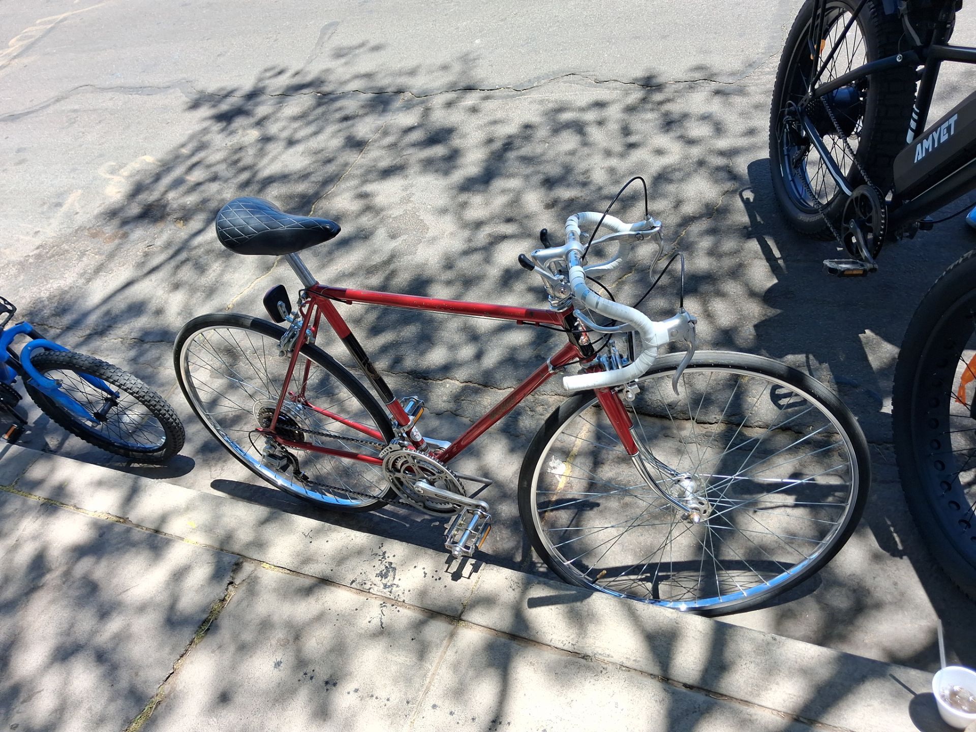 1980 Raleigh Super Record Model