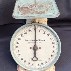 Vintage rustic household scalel