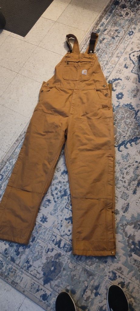 Brand New Carhartt Insulated Bibs