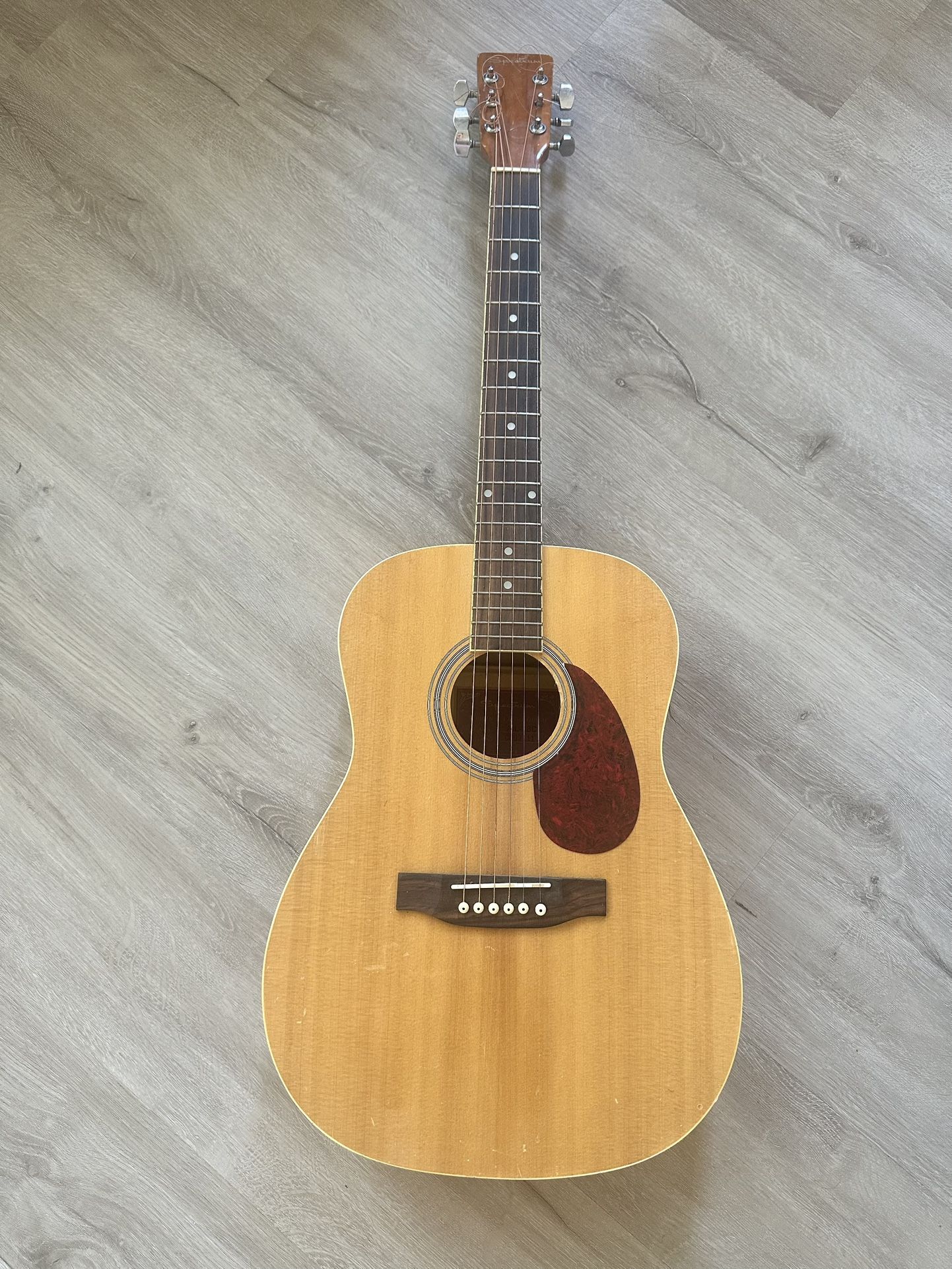 Spectrum Acoustic Guitar with cover