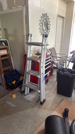 Werner 17’ ladder