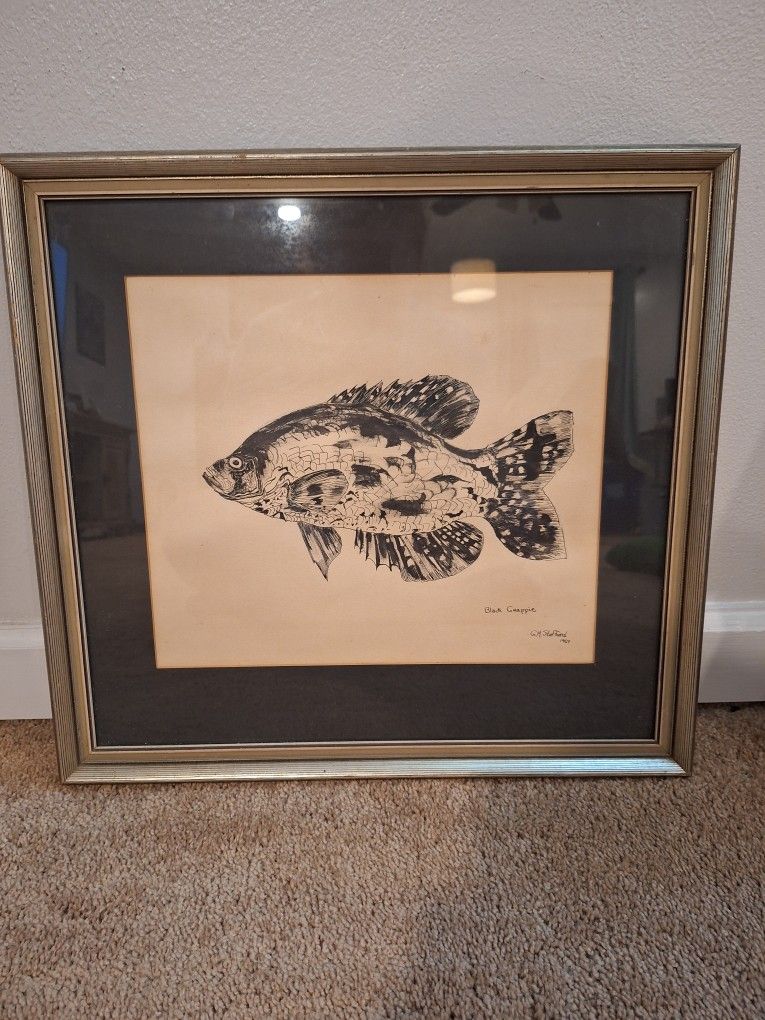 Original Art Black Crappie Pen And Ink
