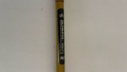 Two-Piece Fishing Rod