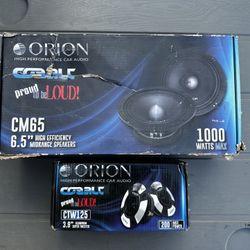 Orion Car speakers