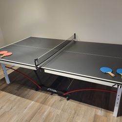 Ping Pong Table