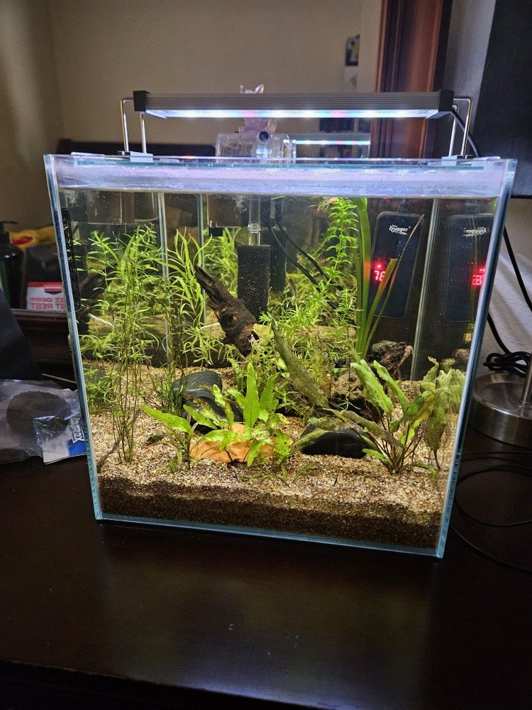 Fish Tank