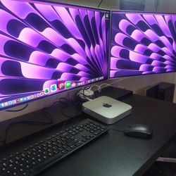 Complete $200 - Apple Mac Mini System Dual Displays - Everything $200