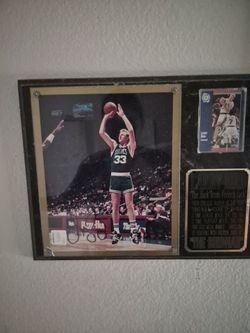 Larry bird
