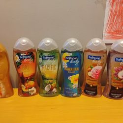 Softsoap Body Wash 20 FL Oz