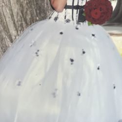 Quinceañera Dress 15 Gown Size M