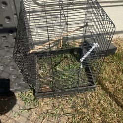 Bird Cage 