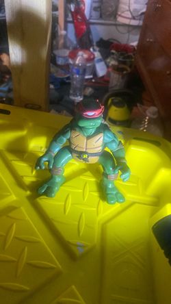Turtle