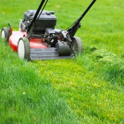 Cutting Grass 