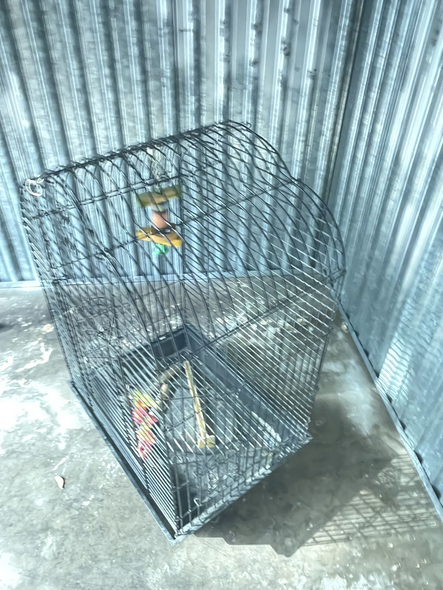 Birdcage