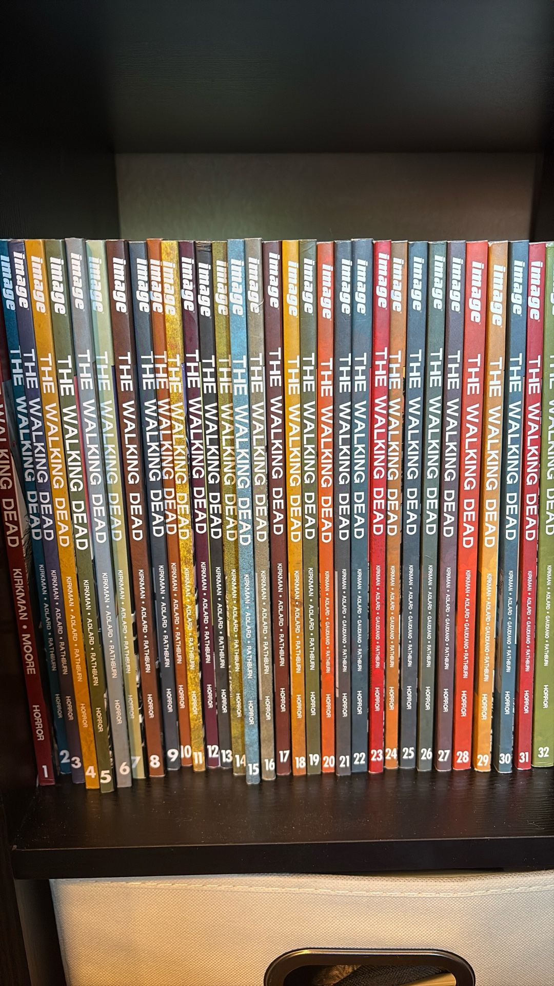 The Walking Dead Comic Books 1-32