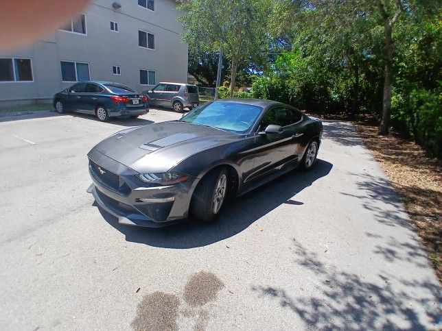 2019 Ford Mustang