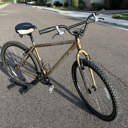 29er Single Speed Mountain Bike