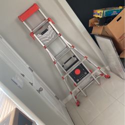 Little Giant Ladder 