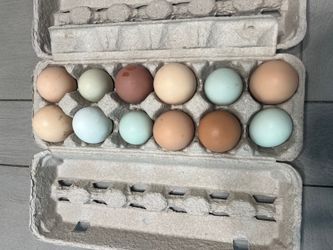 🌱Le’Petite Farm Fresh Eggs
