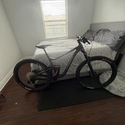 Giant Trance Mountain Bike