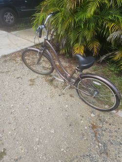 Nice lady cruisers