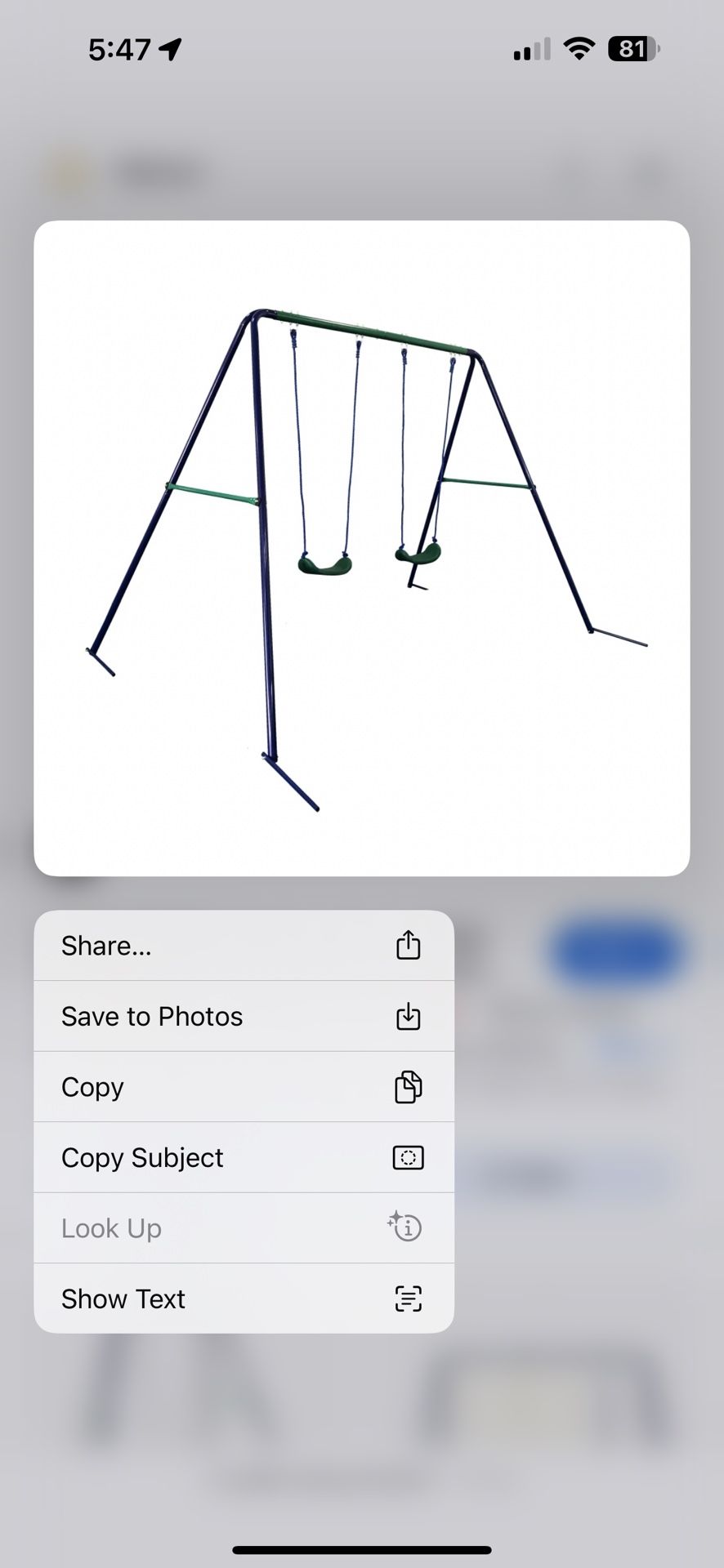 New Swing Set