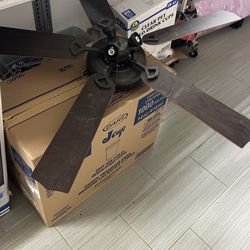 Ceiling Fan