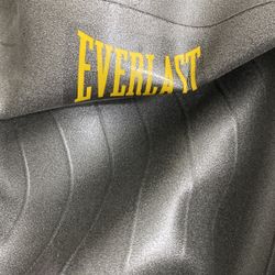 Fit Ball, Everlast