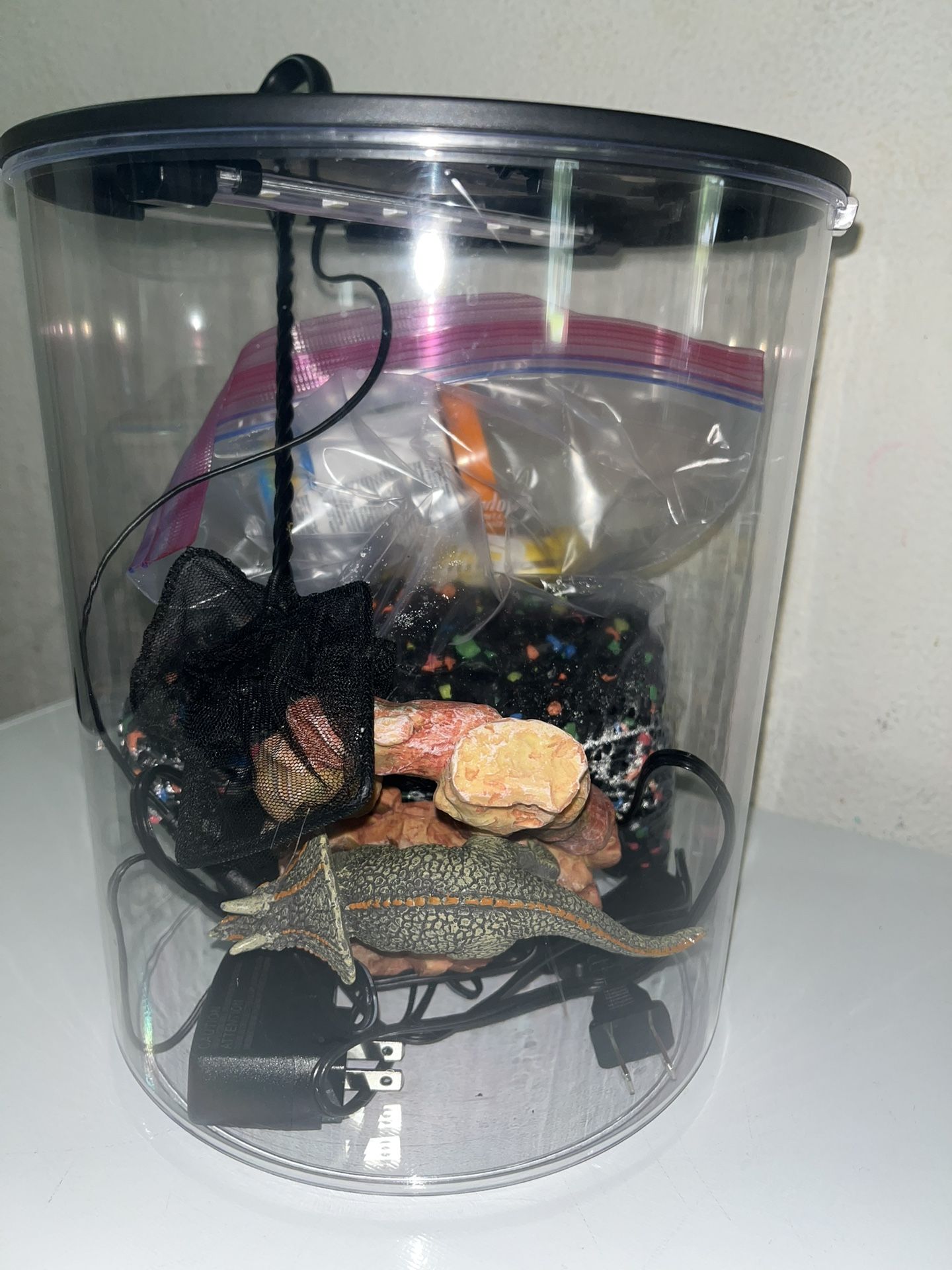 Fish Tank