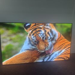 65 Inch Oled Philips Roku