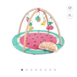 Skip Hop Carter's Fruity Fun Activity Play Gym