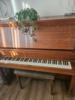 Upright Piano - Wellington / The Cable Company