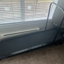 DogPacer Treadmill